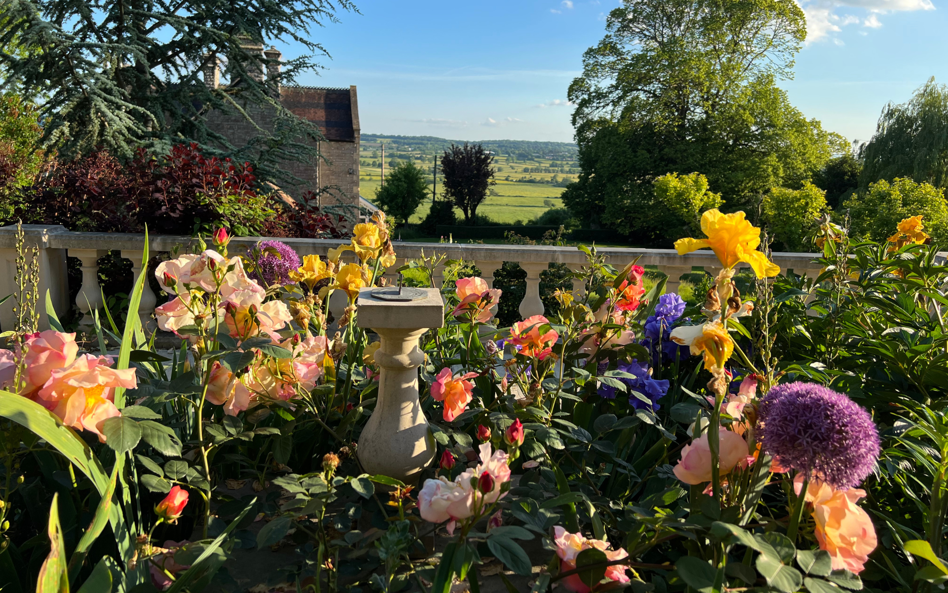 Flowers in the gardens at Torside Health and Wellness Retreat