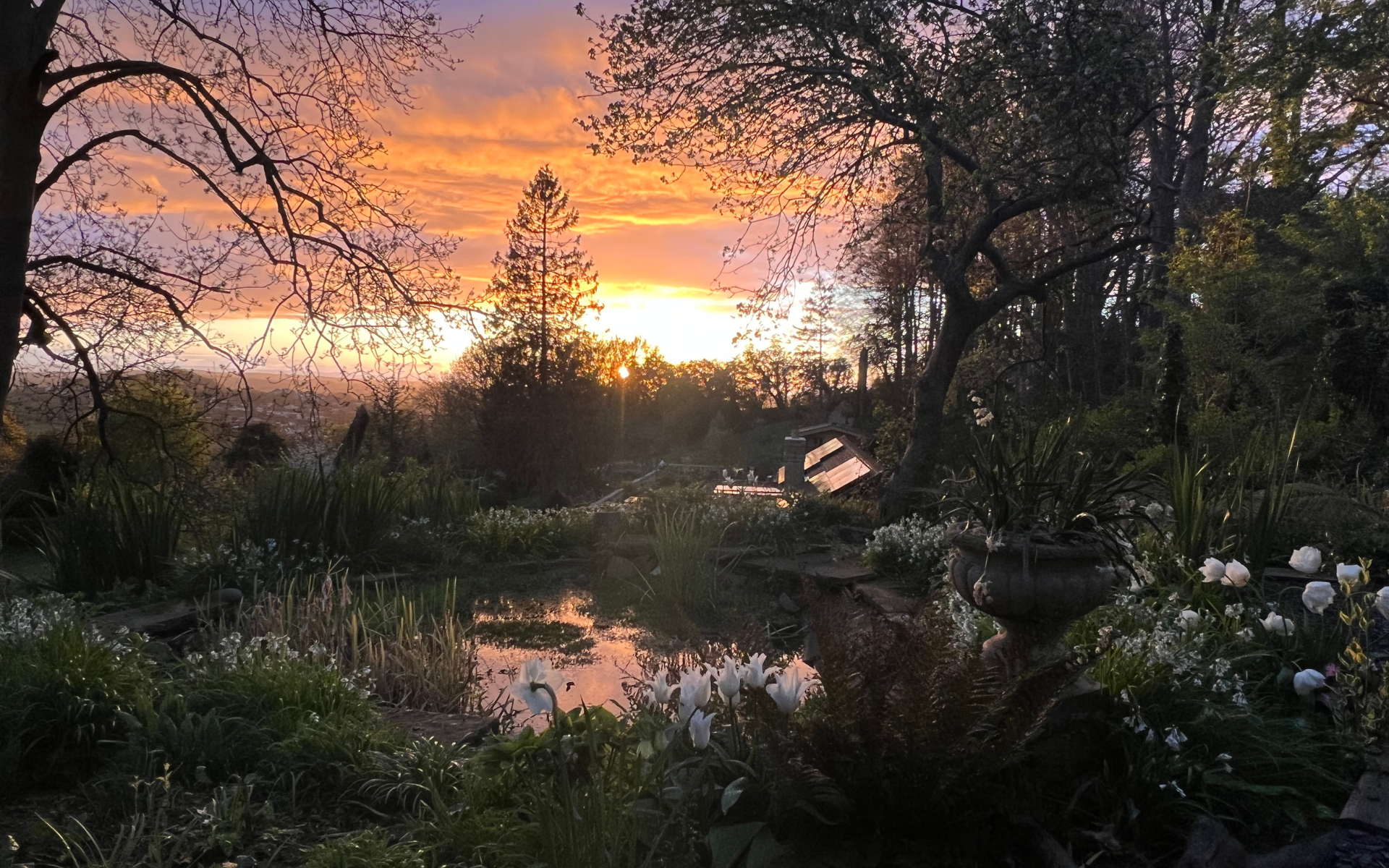 Torside Health and Wellness Retreat at Sunset