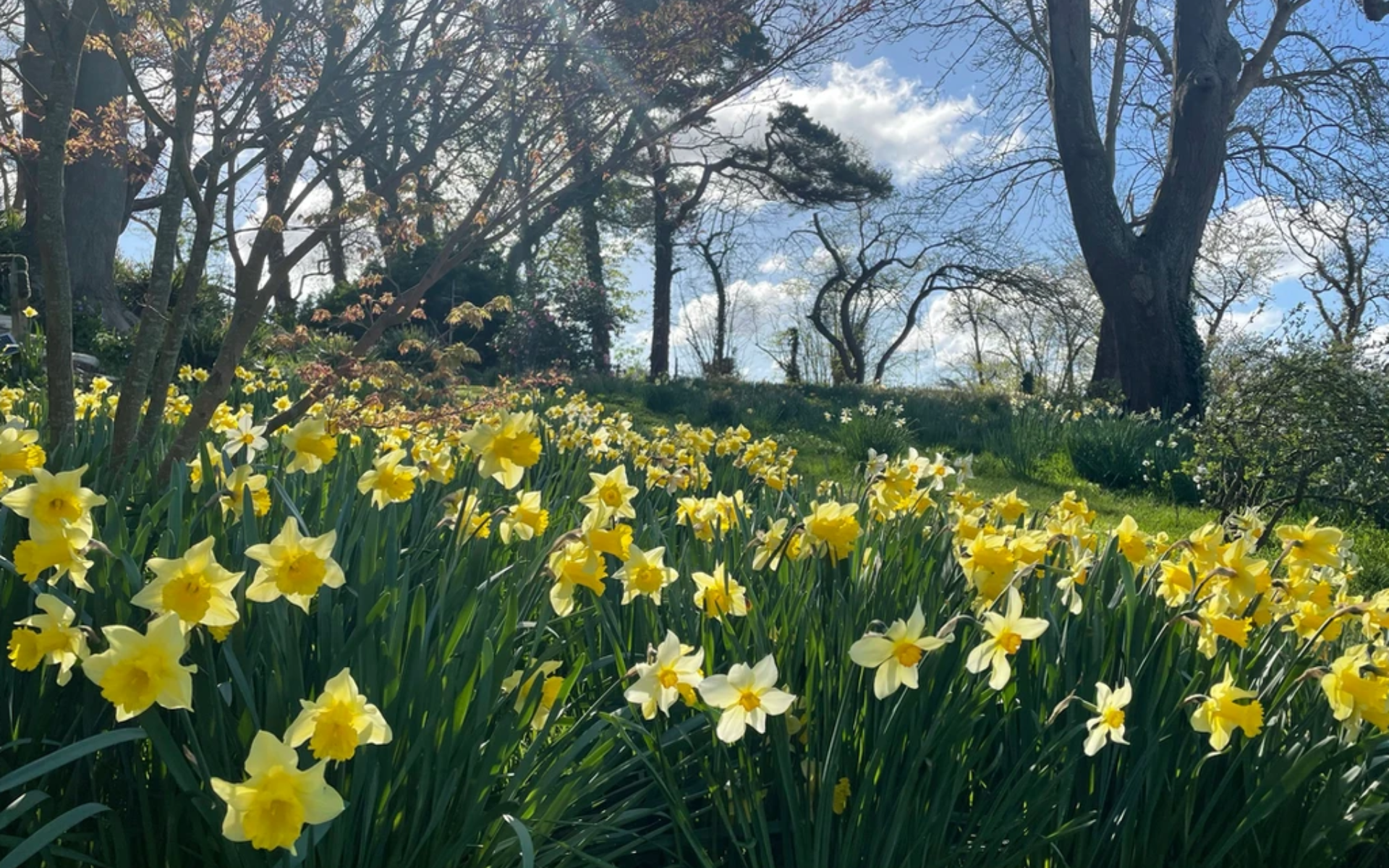 Flowers at Torside Health and Wellness Retreat