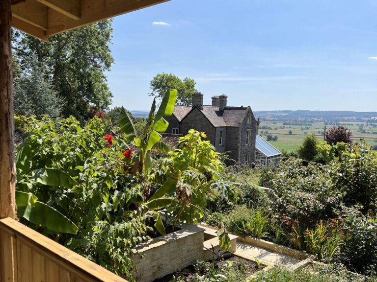 View from Chalet Veranda at Torside Health and Wellness Retreat