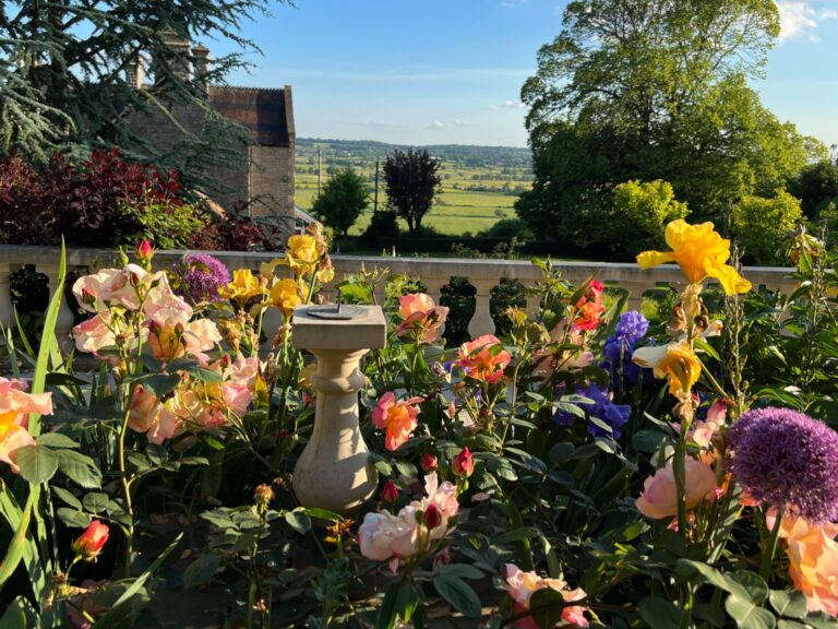 Flowers in the gardens of Torside Health and Wellness Retreat