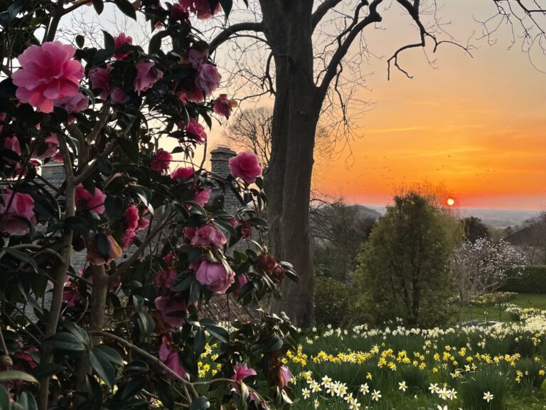 Sunset at Torside Health and Wellness Retreat