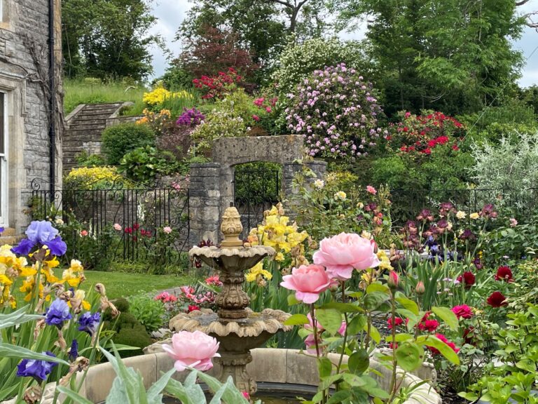 Flowers in the gardens at Torside Health and Wellness Retreat