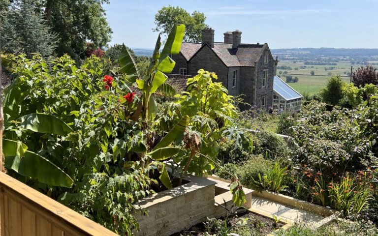 Veranda View at The Retreat