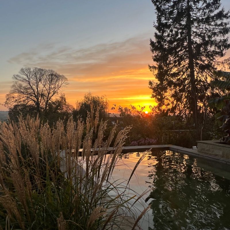 Torside Health and Wellness Retreat Pool at Sunset