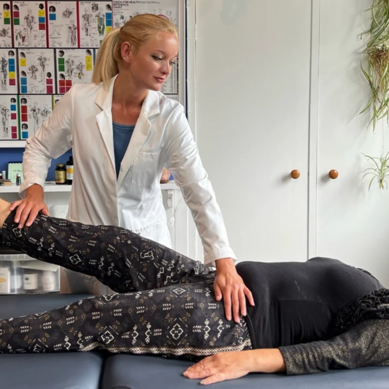 Kinesiology at Torside Health and Wellness Retreat