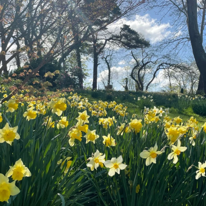 Flowers at Torside Health and Wellness Retreat